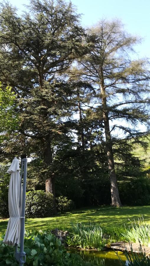 Les Palmiers Bed & Breakfast Mauves ภายนอก รูปภาพ