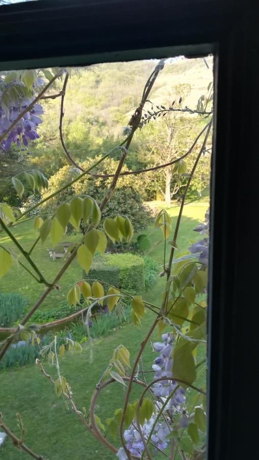 Les Palmiers Bed & Breakfast Mauves ภายนอก รูปภาพ